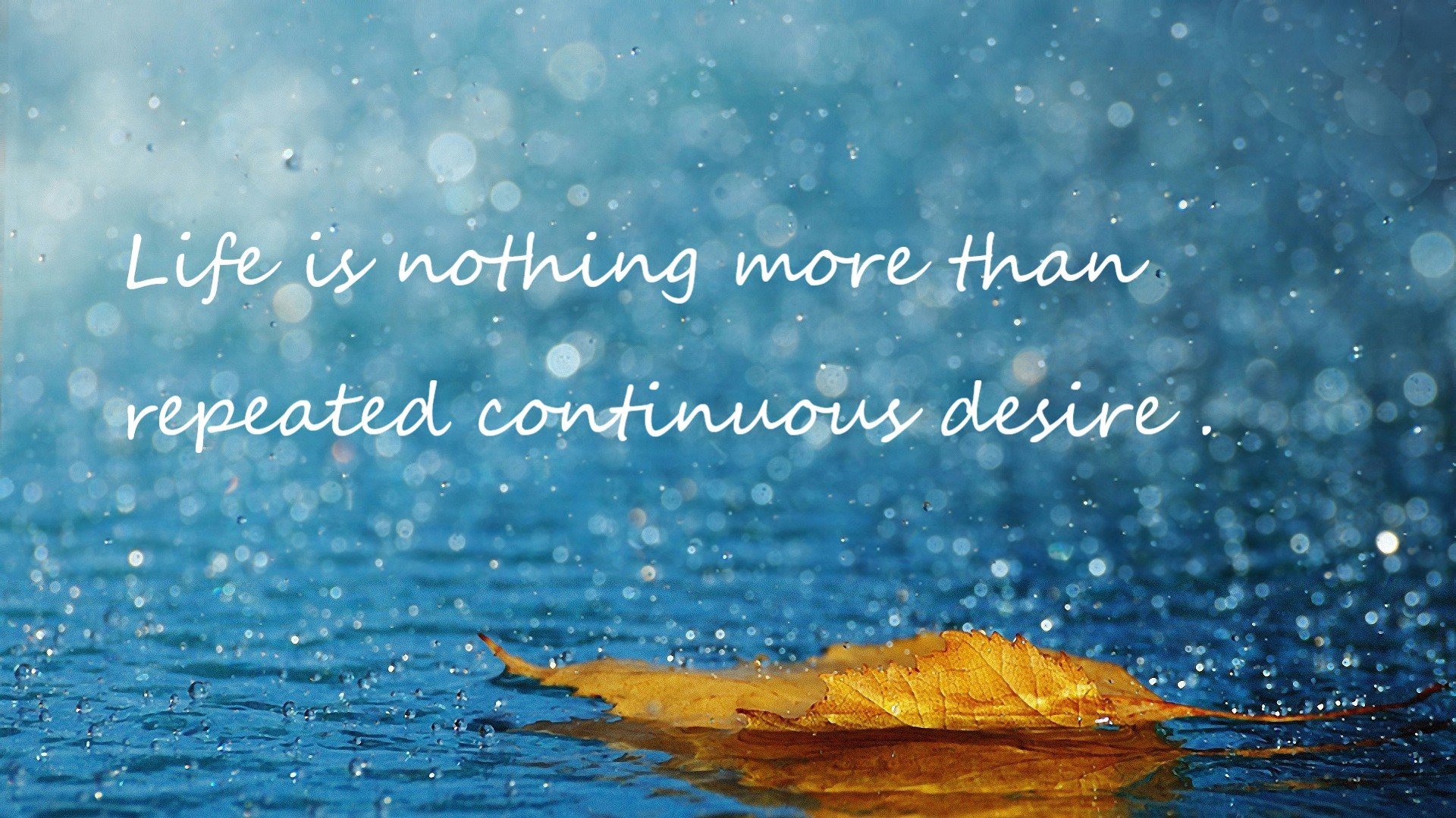 开云官网首页-_掘金迎来一波连胜，积分榜上升势头强劲_，掘金晋级