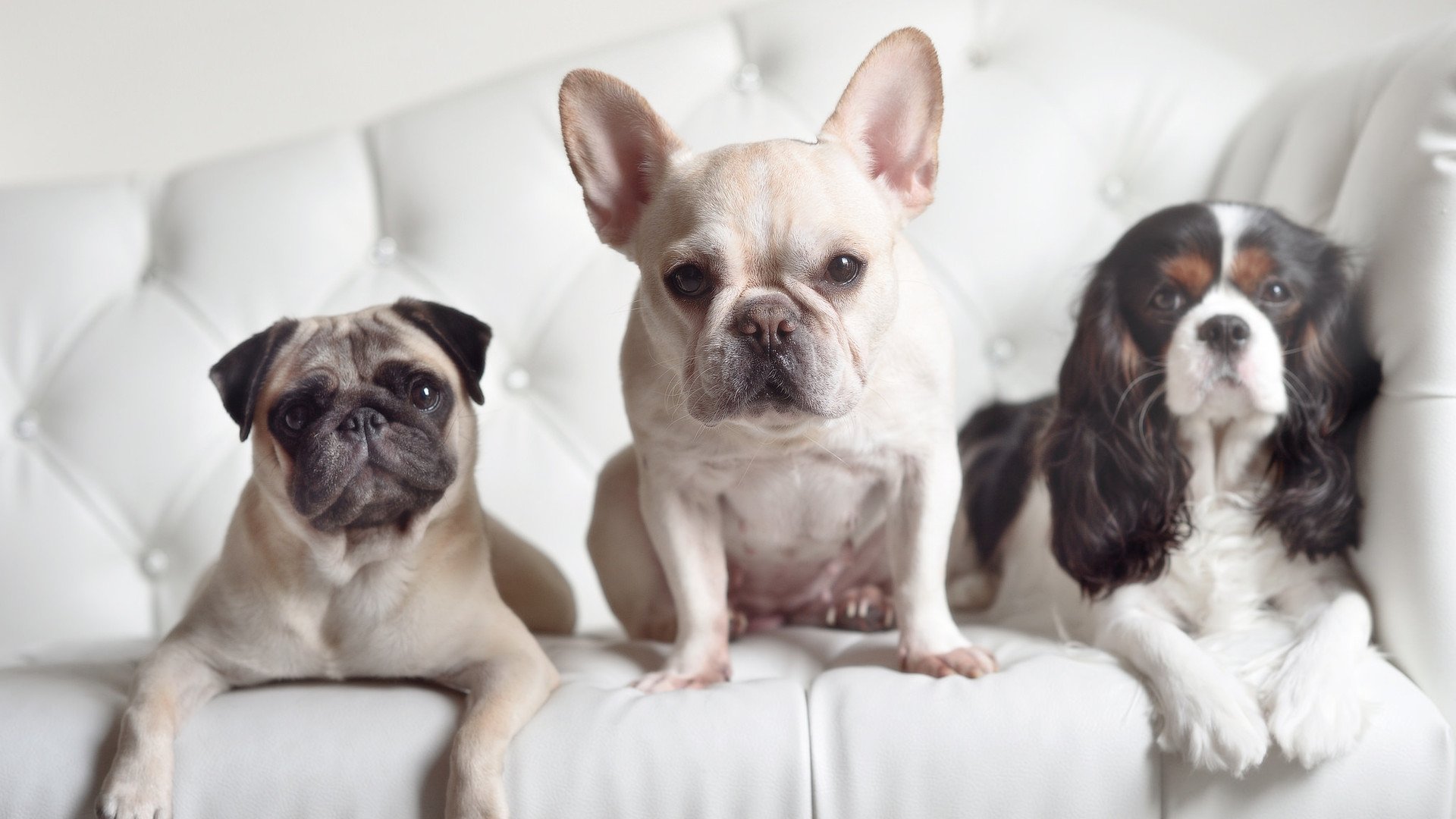 Kaiyun(中国)开云-_野外探索与追逐：勇者的荒野旅行_，荒野探险之旅