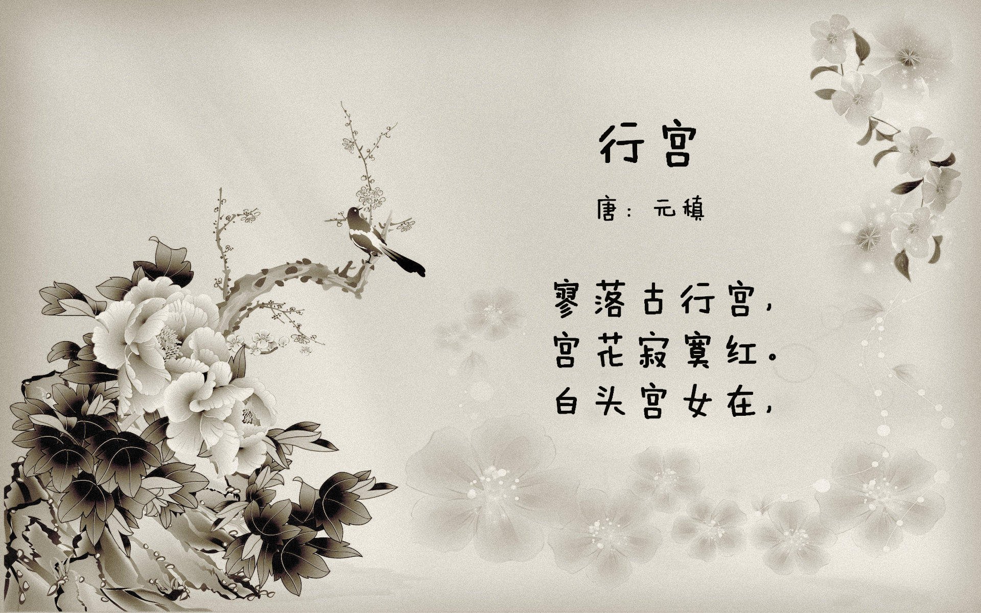 开云首页登录-_野生动植物保护跑：运动与环保双赢_，野生动植物保护宣传海报