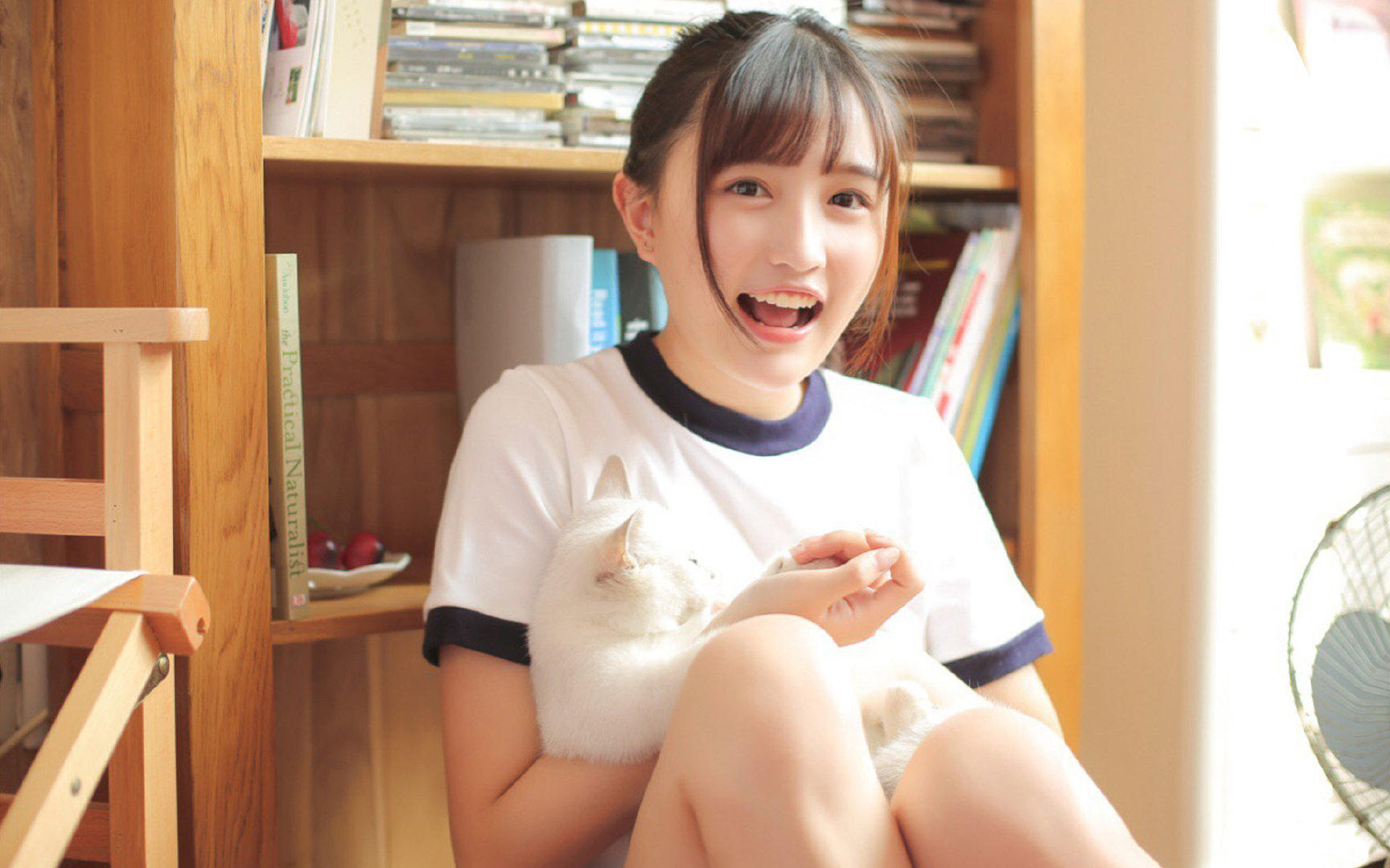 “德甲最后冲刺,争冠战火再度点燃”,德甲结局