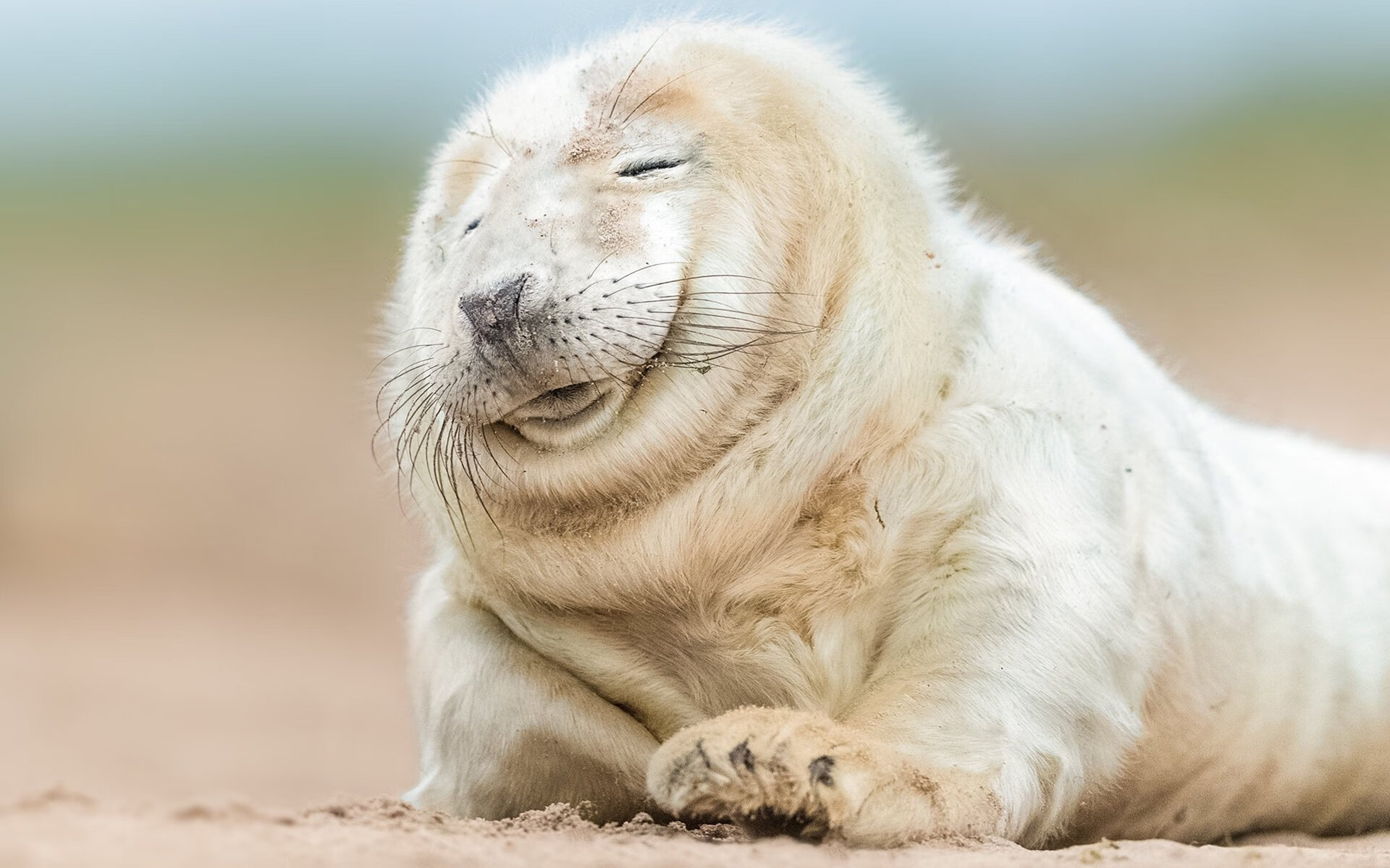 开云在线直播-《电竞行业政策解析：规范与创新并行》，政府关于电竞行业的政策