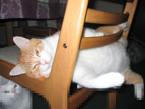 【精彩瞬间】运动员如何在关键时刻调整战术?,运动员如何在比赛中控制自己的冲动性