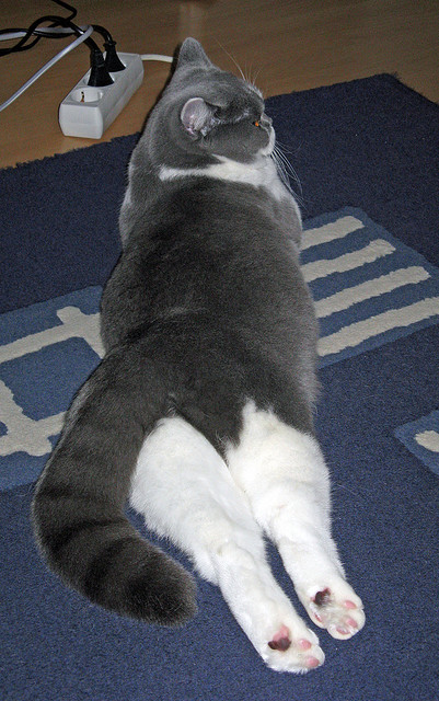 kaiyun.com-传统竹竿舞竞技，民族文化的青春展演，民俗文化竹竿舞