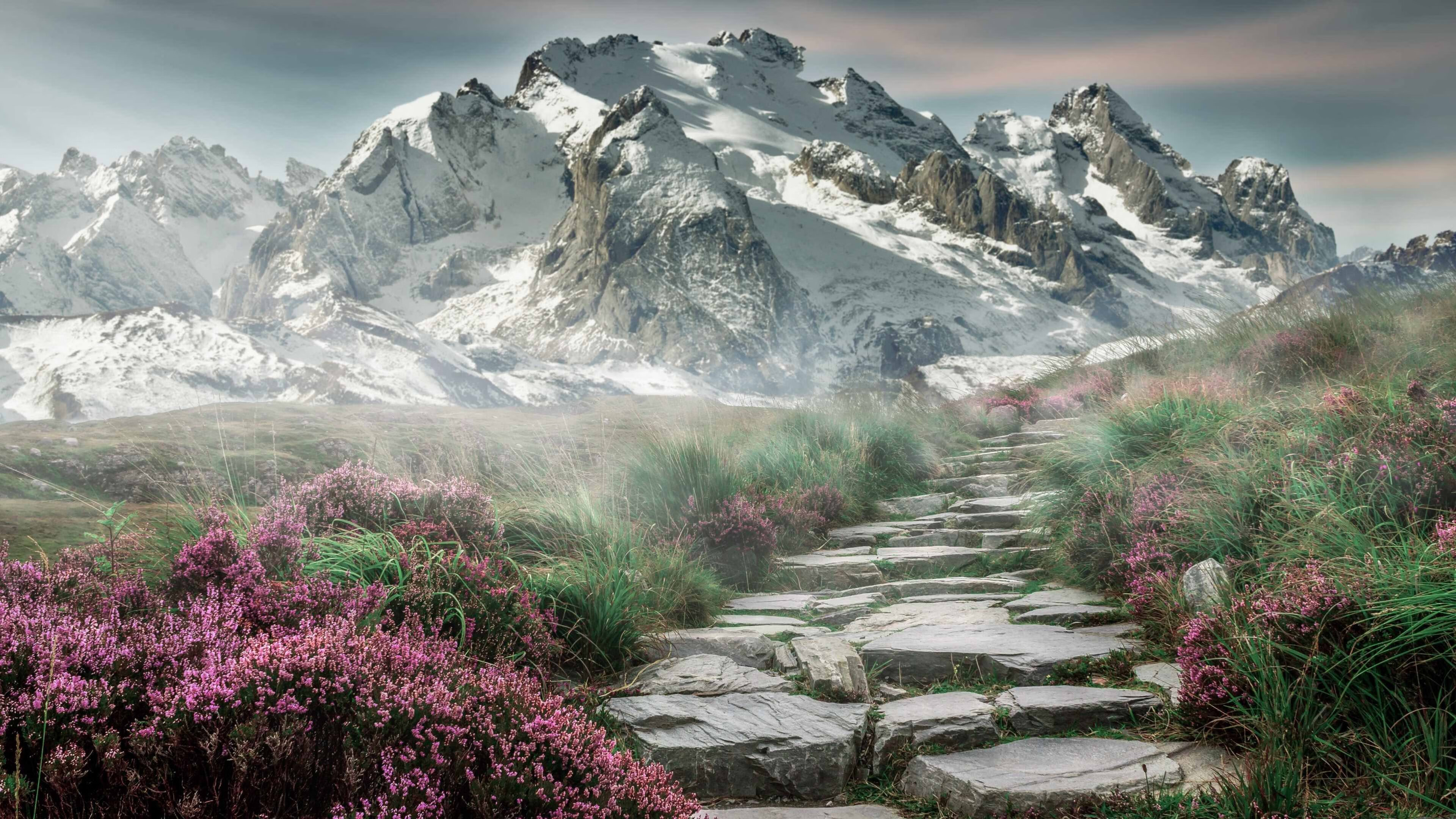 KAIYUN 中国大陆-赛后记：运动员的心情与收获，赛后记_运动员的心情与收获怎么写