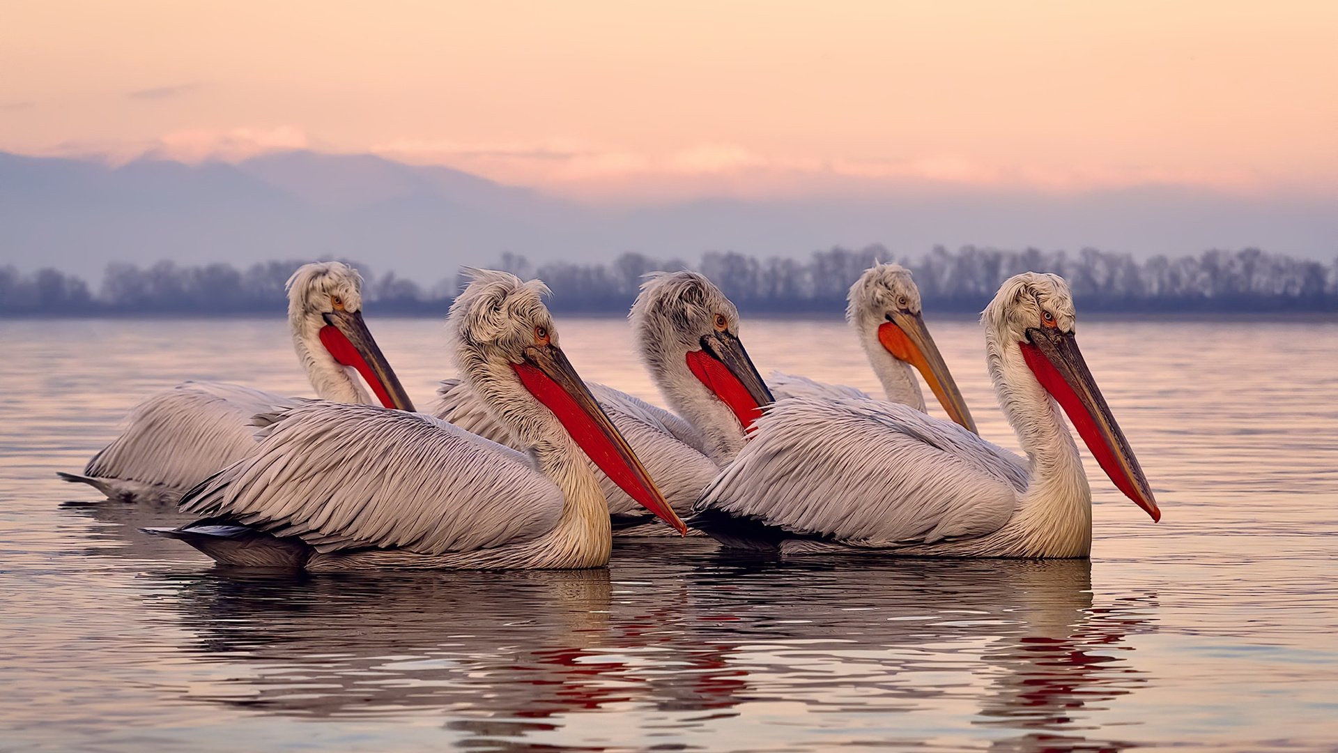 开云在线直播-逆境中的“超级战士”：伤愈复出引领球队反弹