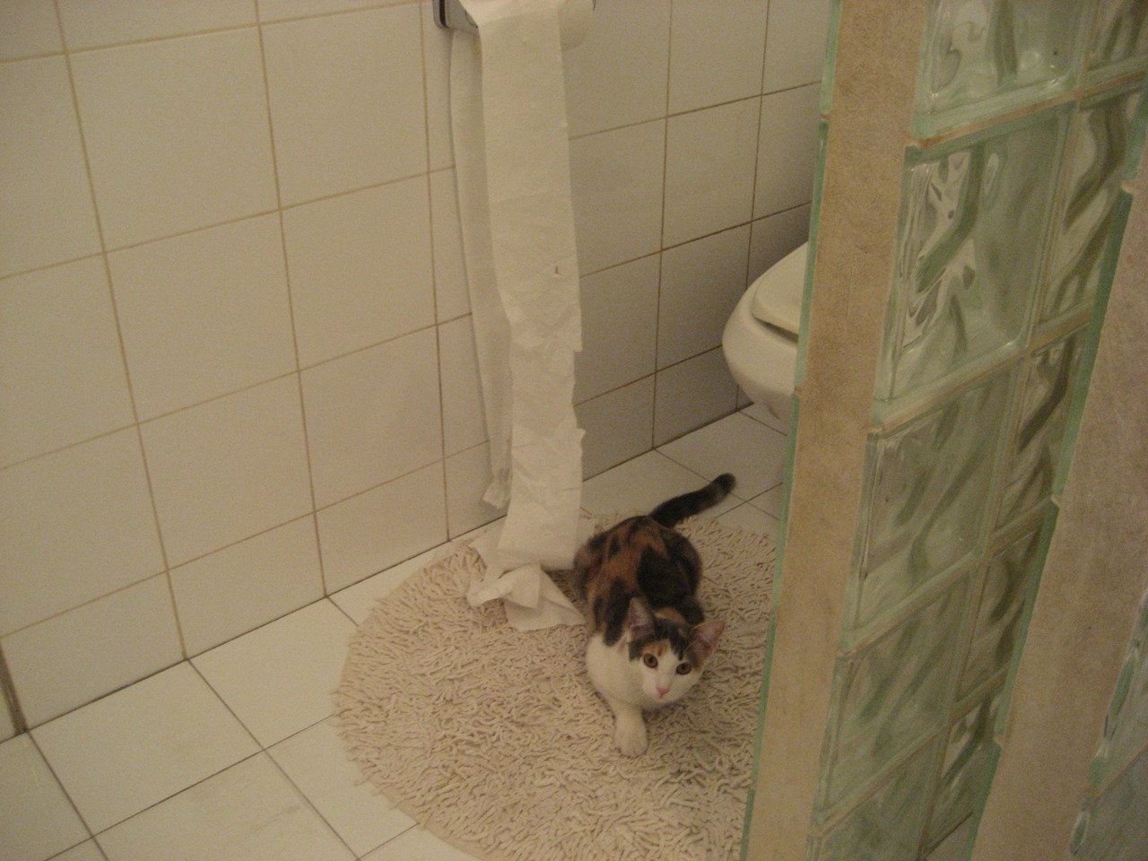 RNG战术创新获好评,rng战术风格