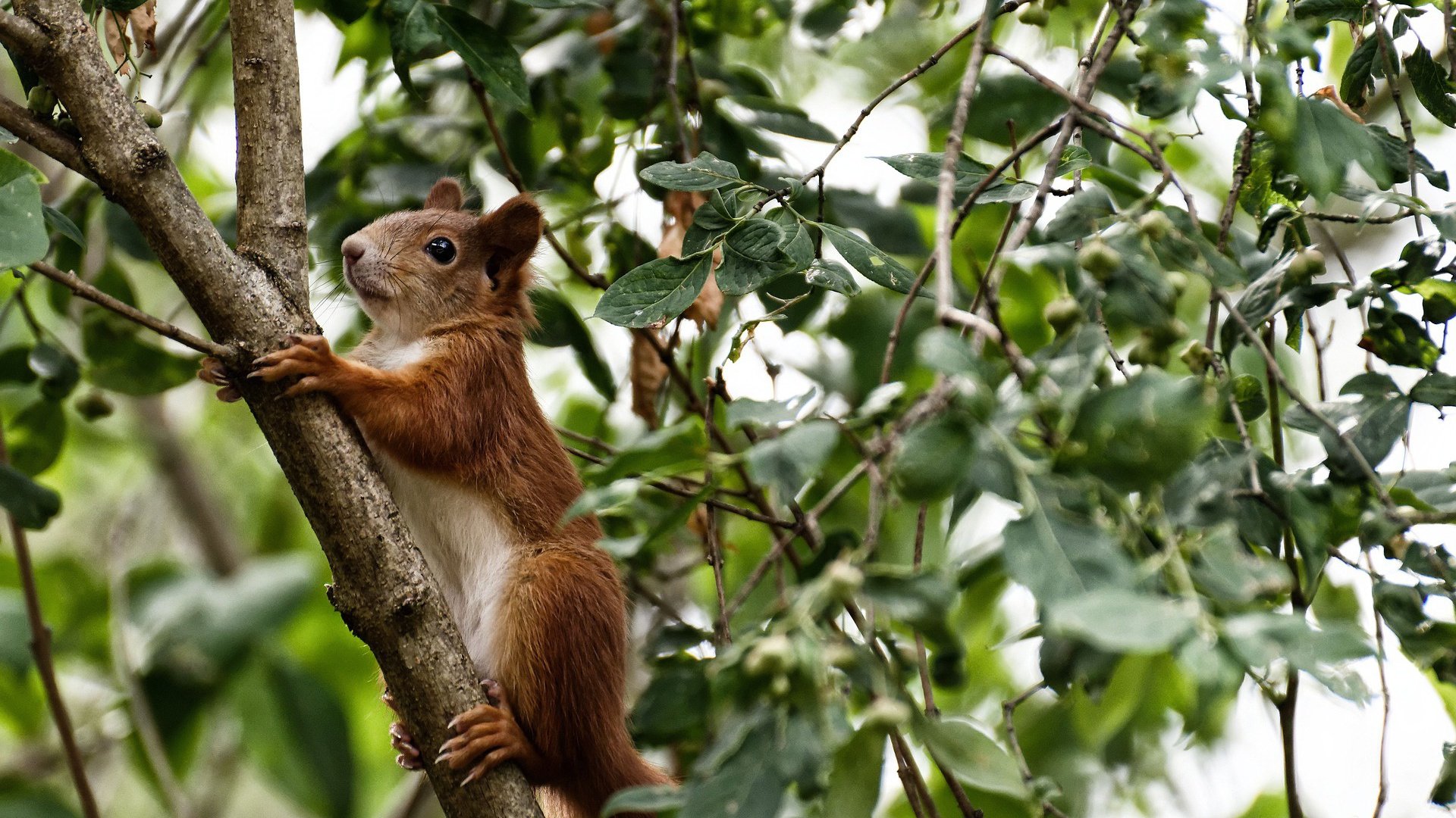 开云体育中国官网-尤尼克斯战术调整显成效，防守端提升明显，尤尼克斯攻防兼备