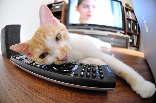 开云官网首页-意甲球队整容大盘点，引援风向标已经拉响，意甲球队阵容