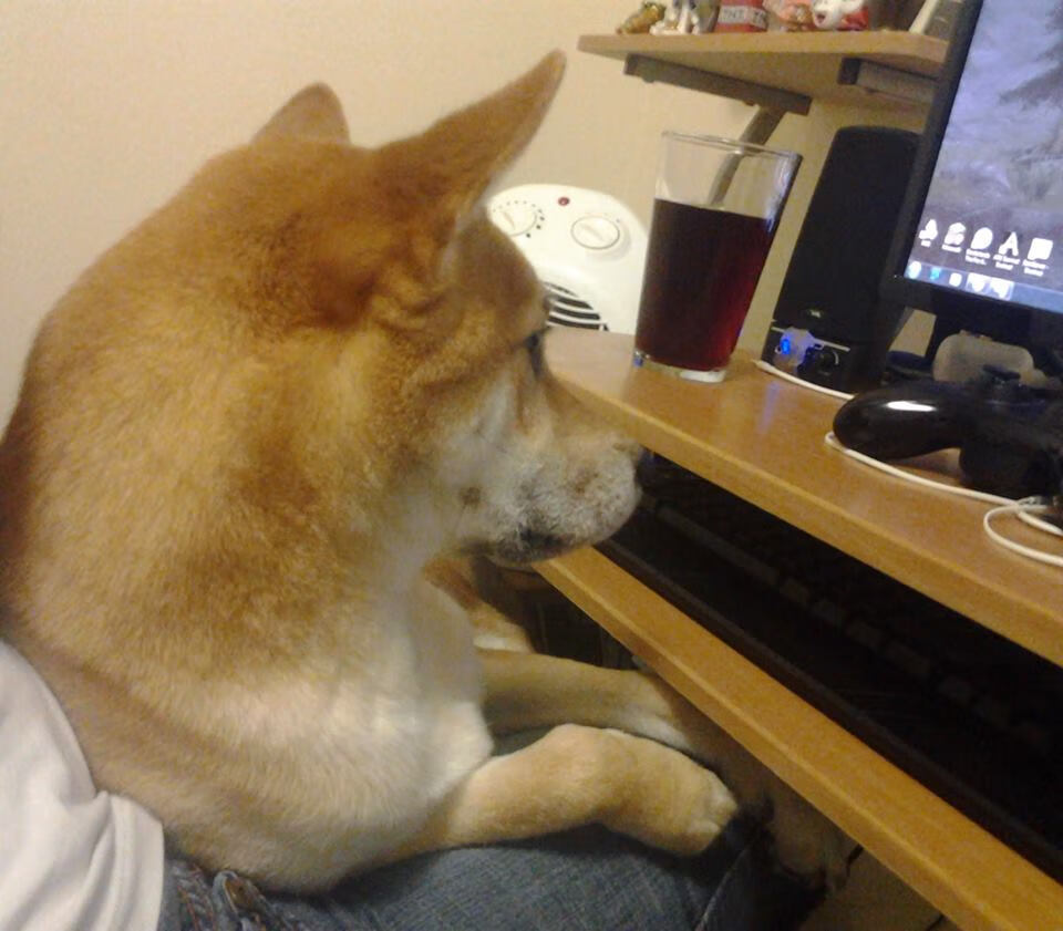 欧国联小组赛落幕,国家队展望欧锦赛挑战,欧国联赛程2020分组