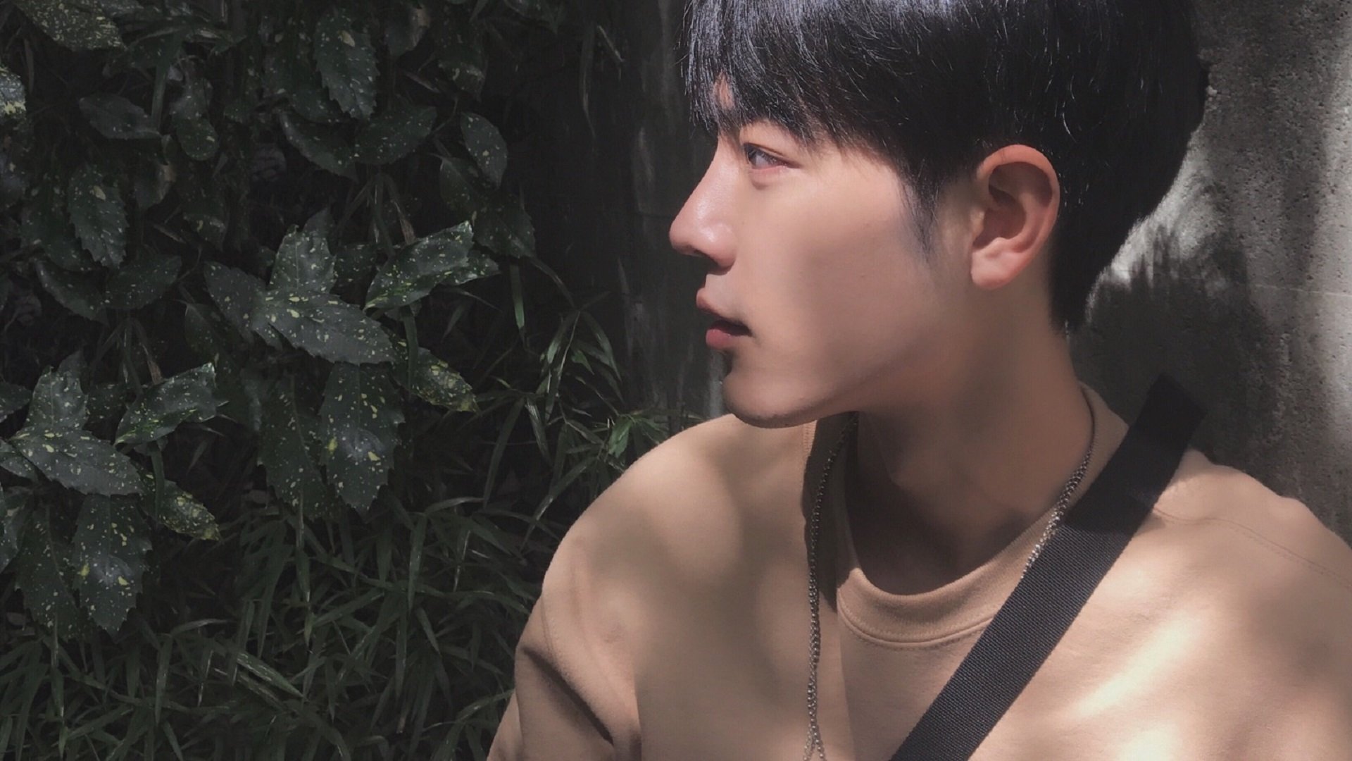 维达德卡萨布兰卡与阿尔阿赫利的比赛成为焦点,大伟卡萨布兰卡