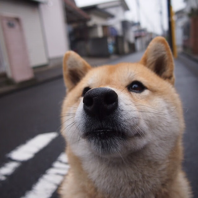 英超高强度赛程下球员运动损伤预防策略探索,英超最严重的受伤