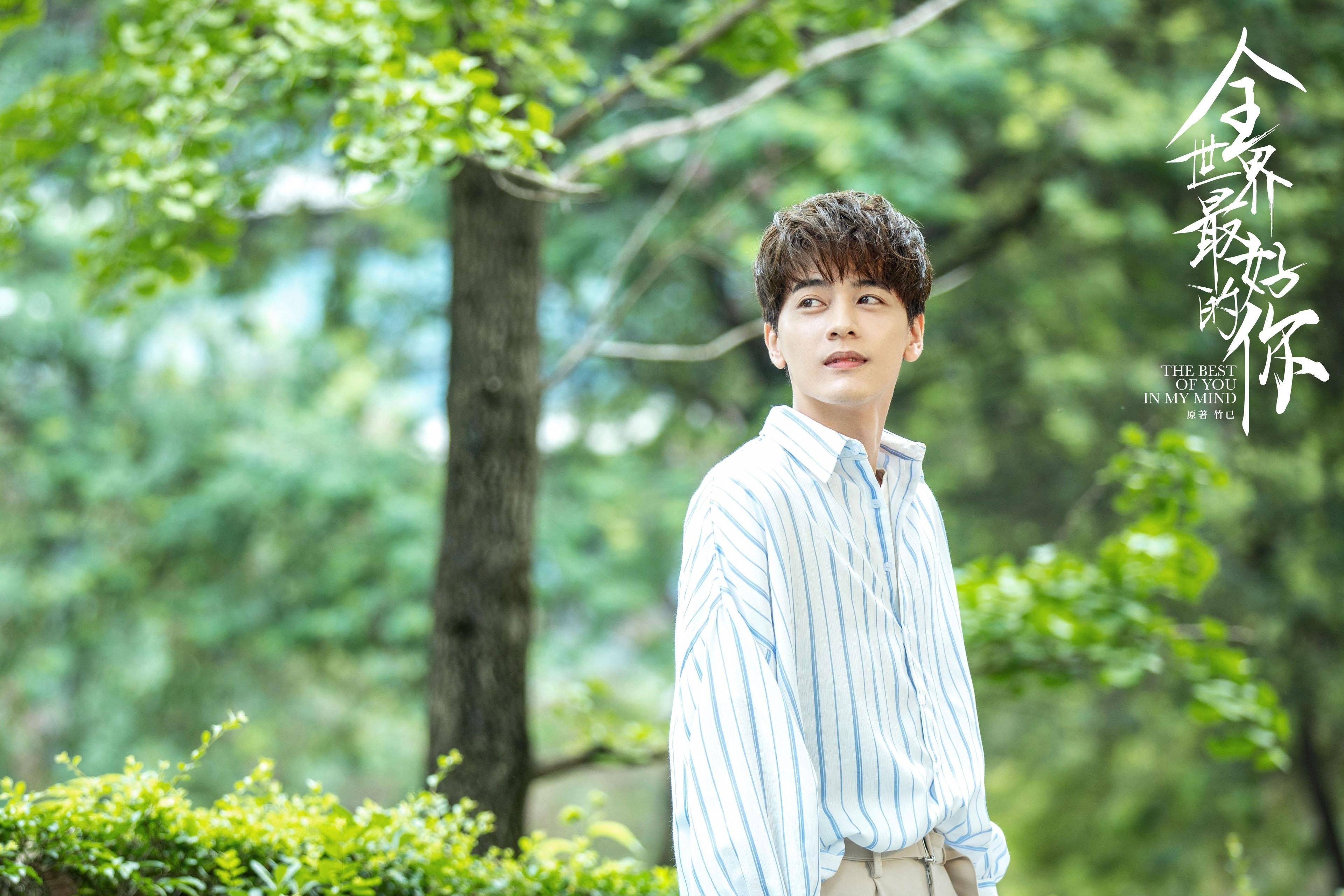 世界杯中国队夺冠 球员拼劲获一致认可,世界杯中国夺冠得多少奖金