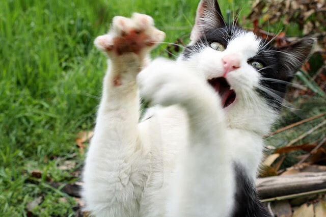 中国男篮球员展现良好职业态度 训练全情投入,中国男篮训练情况