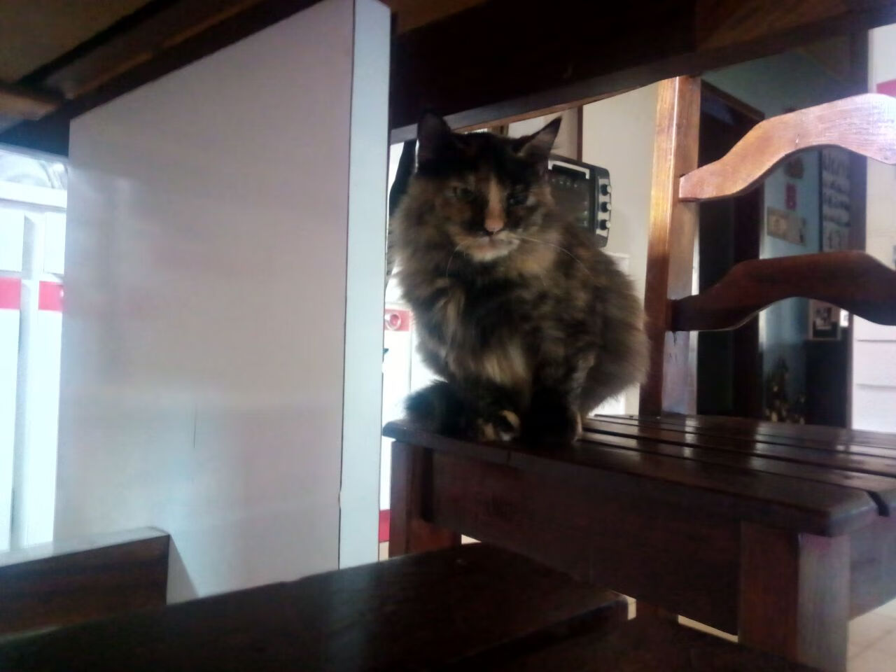 开云体育视频直播-出发反应时间领先小组平均水平