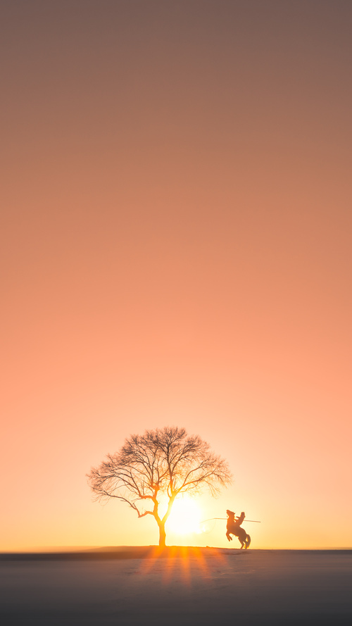 开云网页版登录入口-快节奏体系中小前锋的攻防作用变化分析，小前锋教学