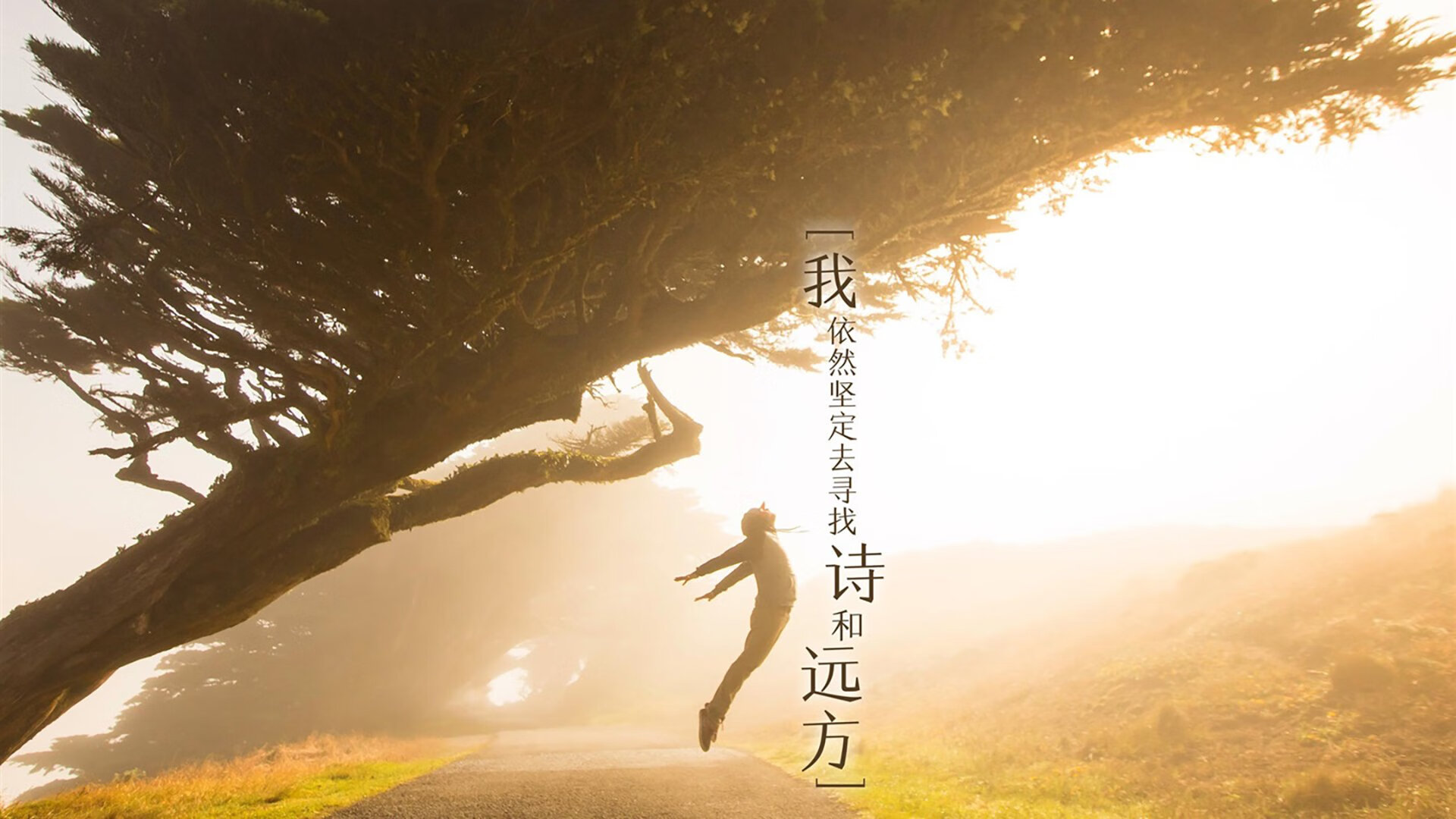 开云官方网页登录-换人节奏是否依据对手战术变化动态调控，换人是啥