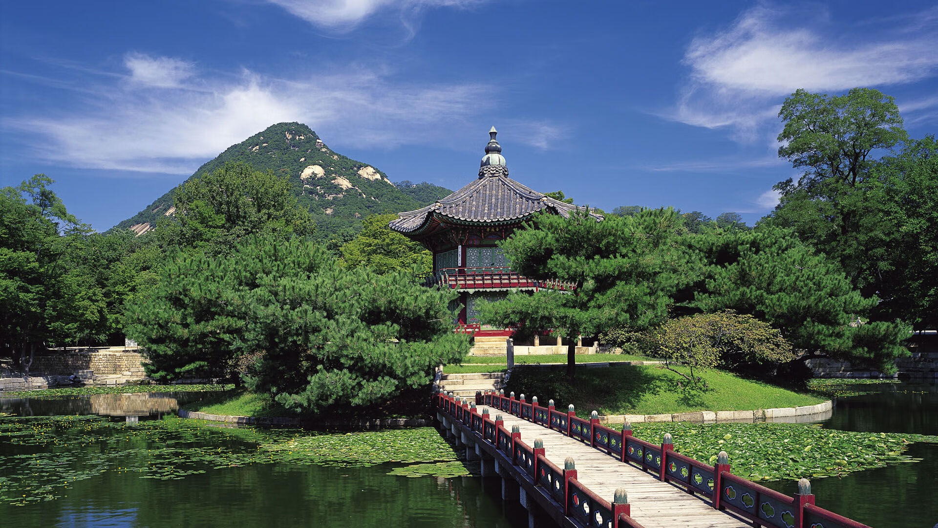 开云官方-职业联赛对年轻球员的上场容忍度是否足够，职业联赛年龄